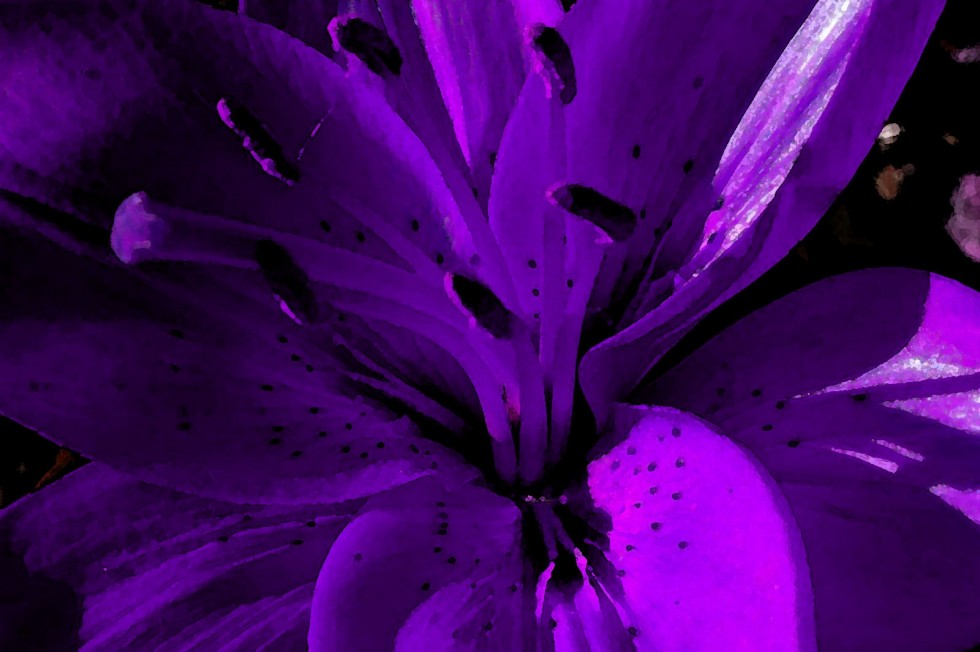 "Color: violeta" de Roberto Jorge Escudero