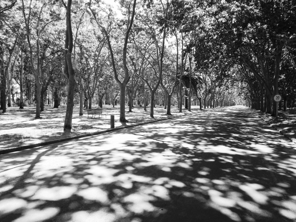 "avenida en blanco y negro" de Marcelo Machin