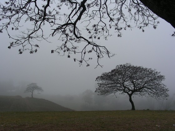 "Niebla en San Carlos" de Rubn Oscar Budn