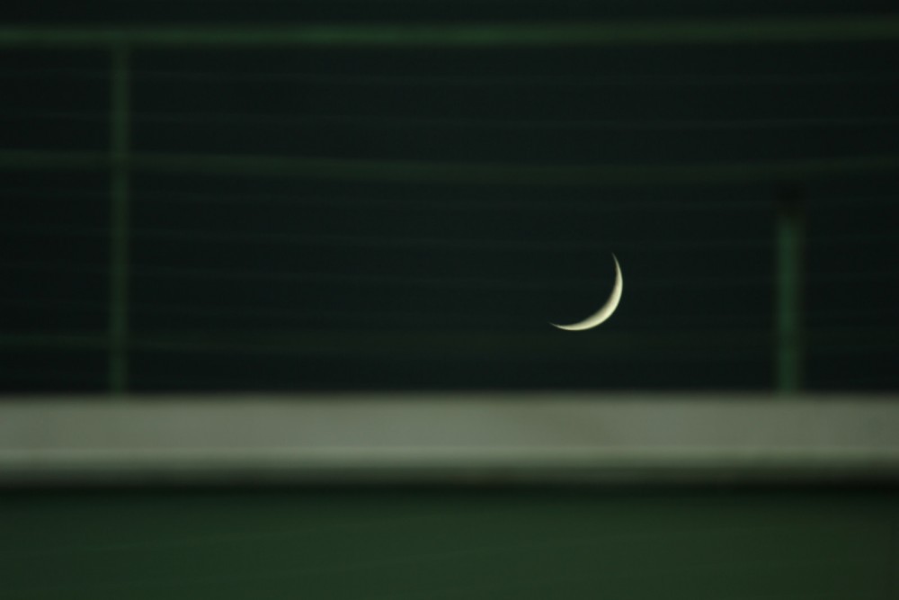 "Mi luna" de Mariano Olivero