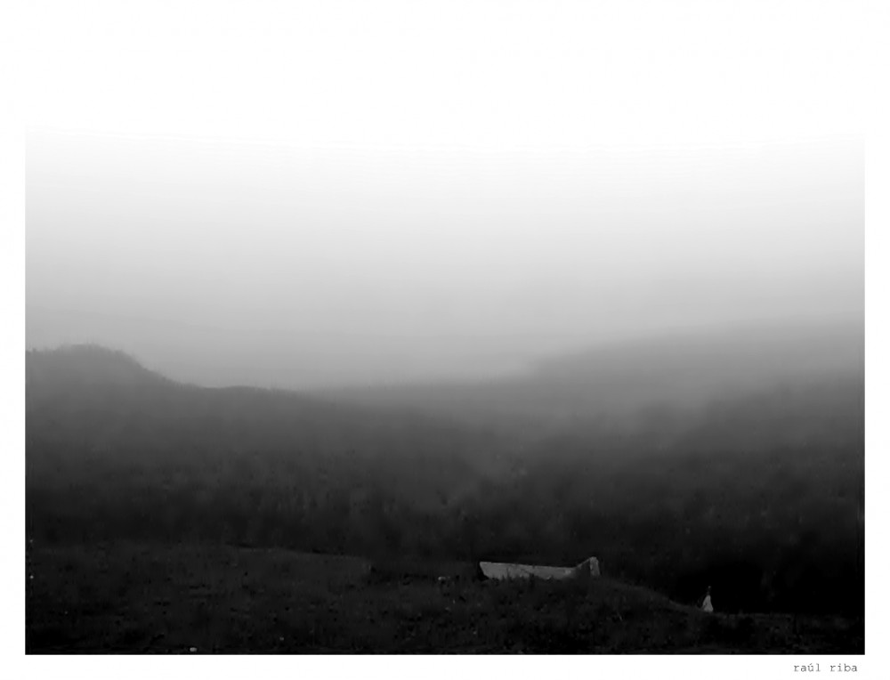 "En la niebla" de Ral Riba