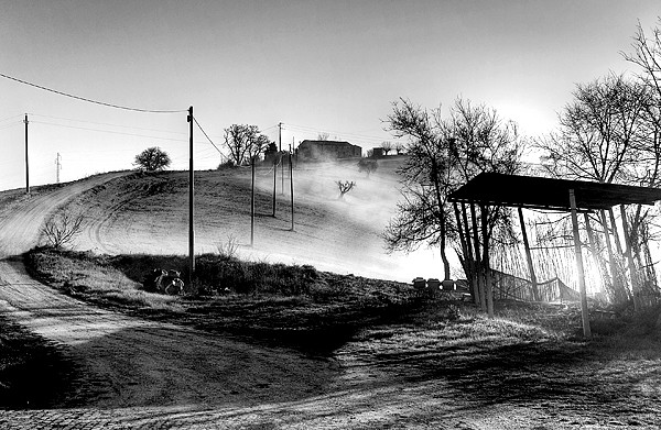 "Nebbia in campo" de Raffaele Innamorato
