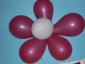 flor de globo