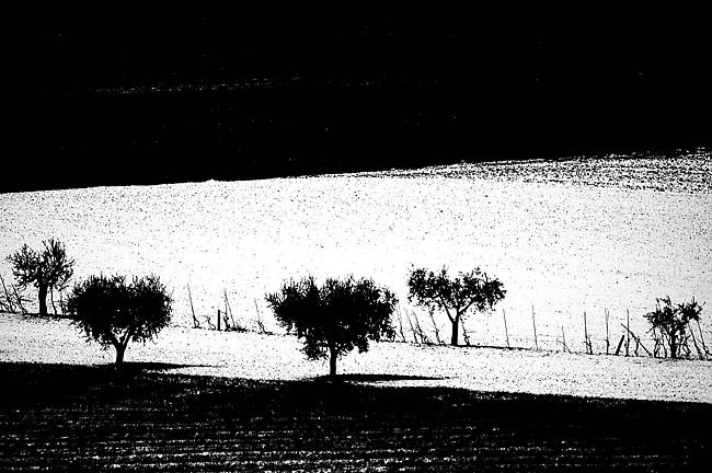 "Tierra blanca" de Raffaele Innamorato