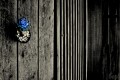 La flor azul