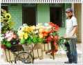 vendedor de flores artificiales