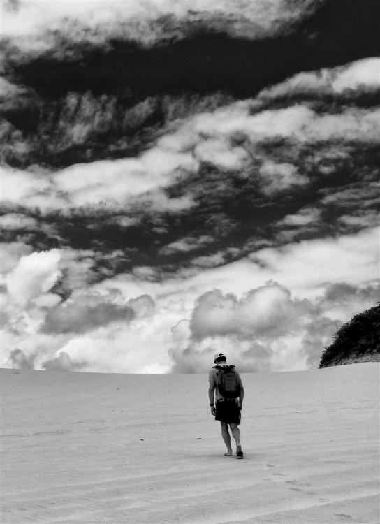 "Camino a las nubes" de Mario Abad