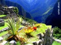 Colores de Machu Picchu