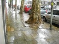Lluvia torrencial!!