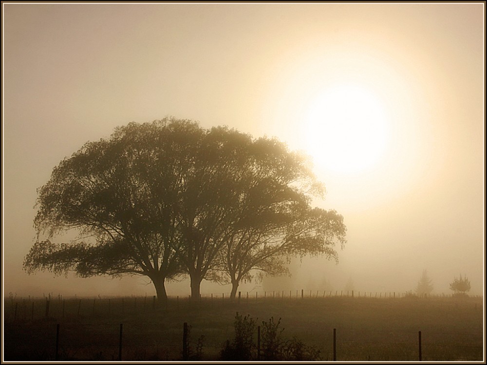 "Niebla al amanecer" de Eli - Elisabet Ferrari