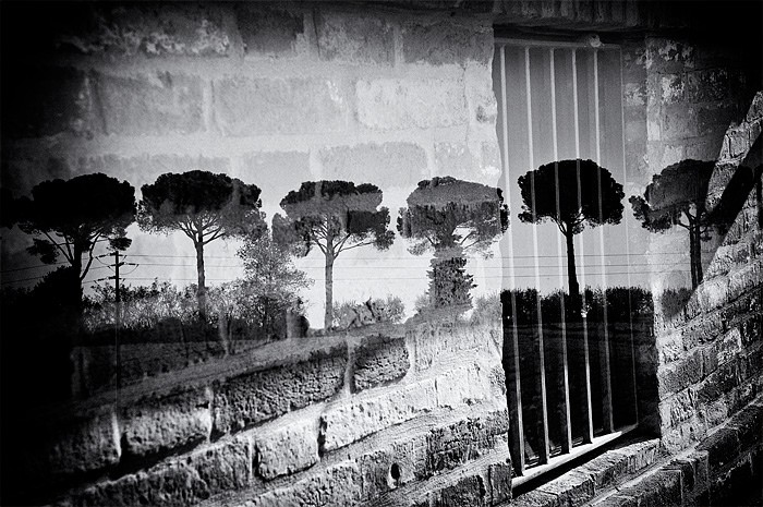 "From the window" de Raffaele Innamorato