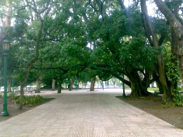 "plaza" de Sandra Patricia Tello