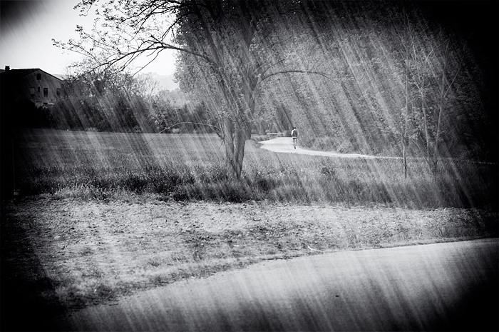 "Racing in the rain" de Raffaele Innamorato