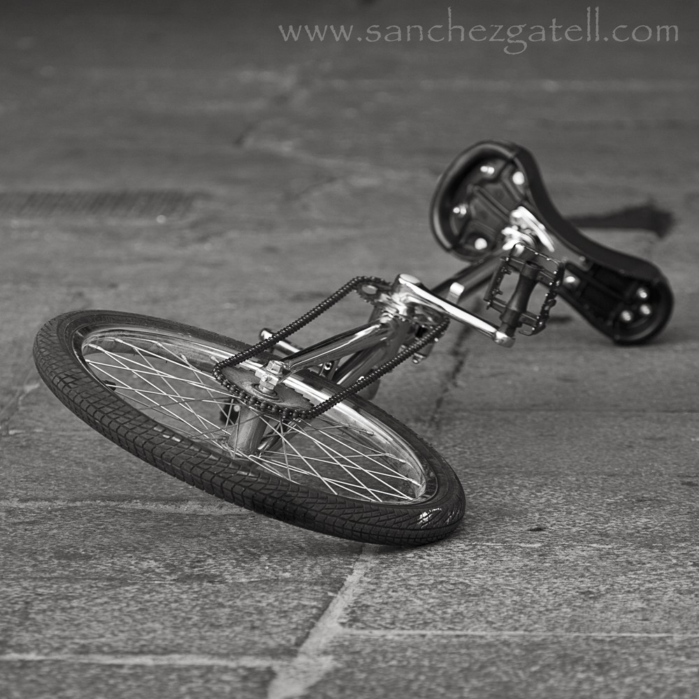 "Monociclo" de Eduardo Snchez Gatell