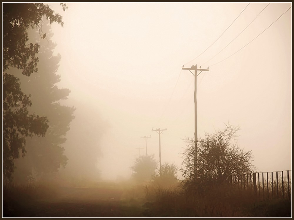 "El camino y la niebla" de Eli - Elisabet Ferrari