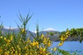 Lago Gutierrez - Bariloche