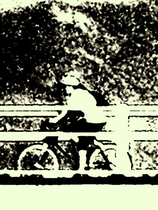 "Ciclista cruzando el puente" de Lorena Zotares