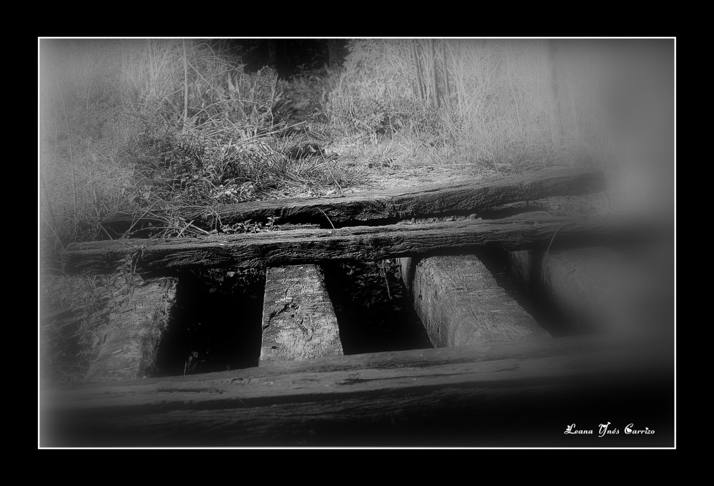 "El puente de madera, un sendero..y el bosque" de Leana Yns Carrizo