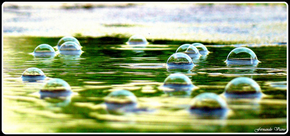 "Burbujas" de Fernando Viano