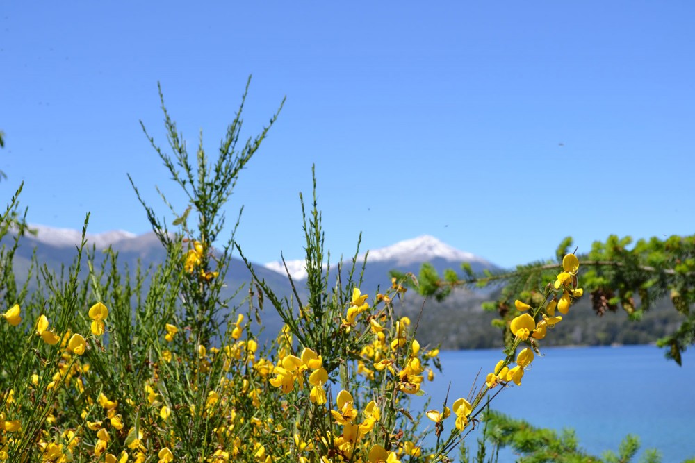 "Lago Gutierrez - Bariloche" de Eduardo Jorge Pompei