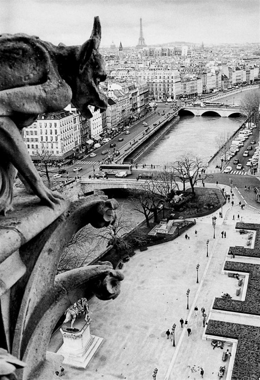 "Pars desde Notre Dame (ByN)" de Mario Abad