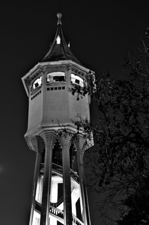 "La Torre del Agua..." de Carmen Esteban