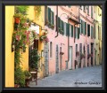 Lucca, calle con flores