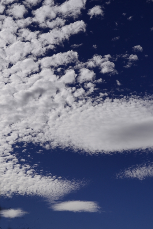 "Nubes" de Gaston E. Polese