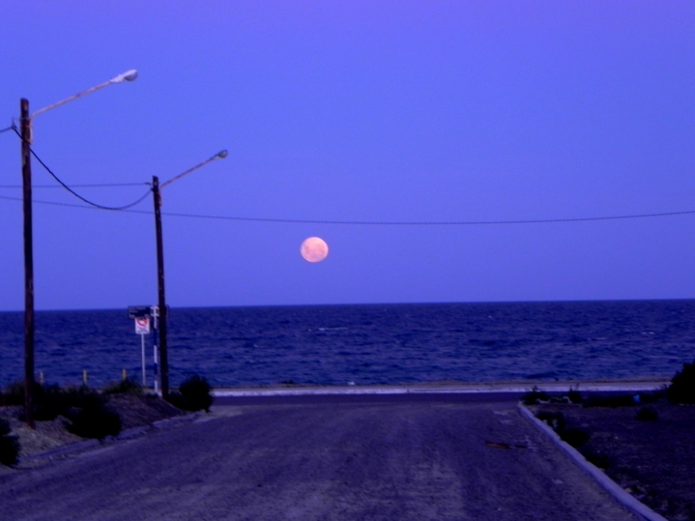"camino a la luna" de Hector Luis Pereyra