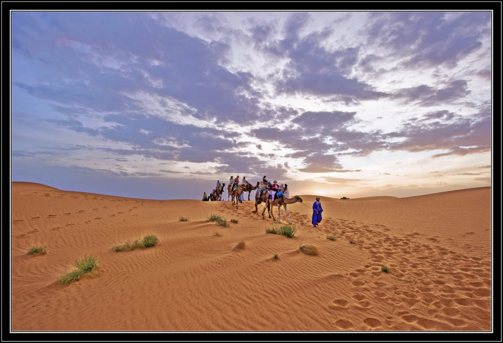 "Un paseo por el desierto" de Ignacio Vaccari