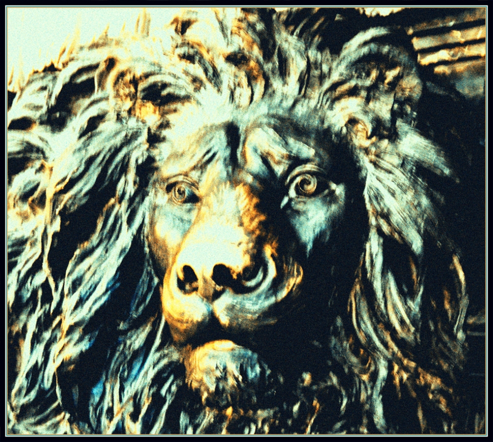 "Lion" de Ramiro Antonio Rodriguez Sigliano