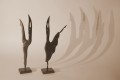 Las sombras de una danza