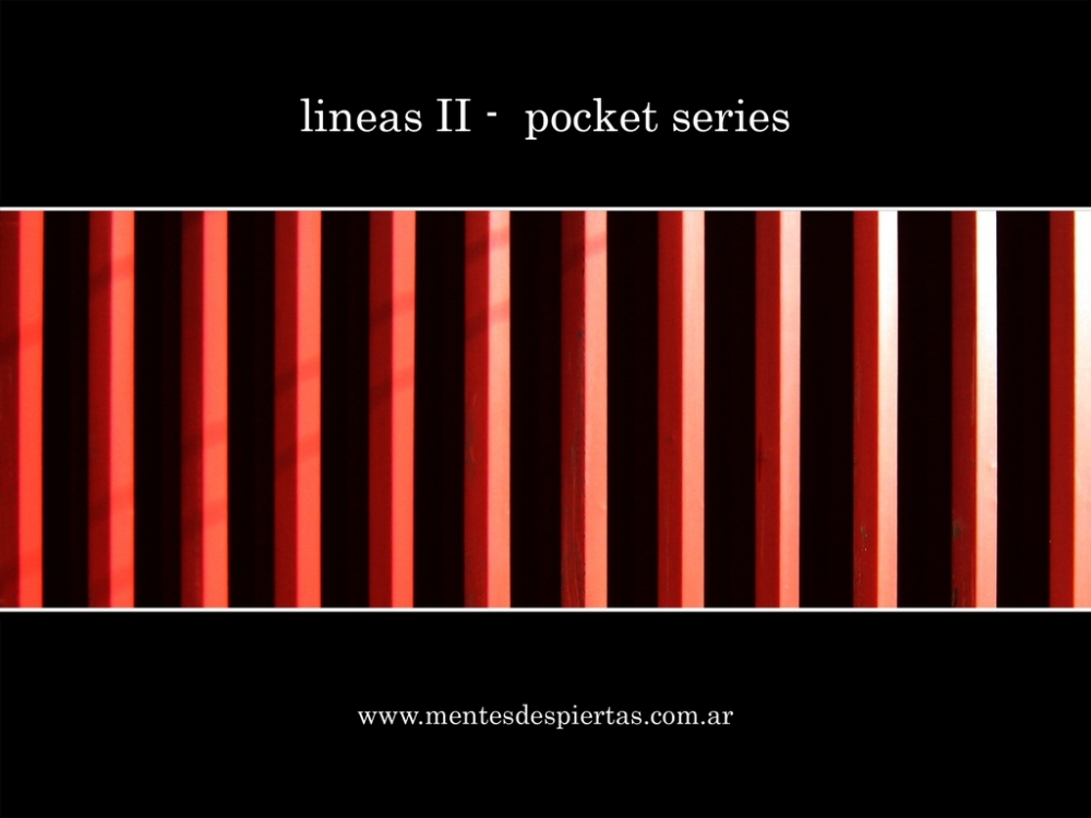 "Lineas II" de Sergio Marcelo Redondo
