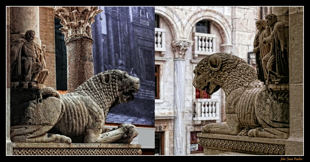 "Los leones - Split - Croacia" de Juan Antonio Paolini