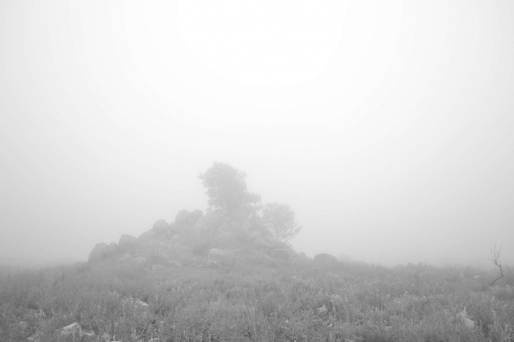 "niebla" de Natalia Fernndez