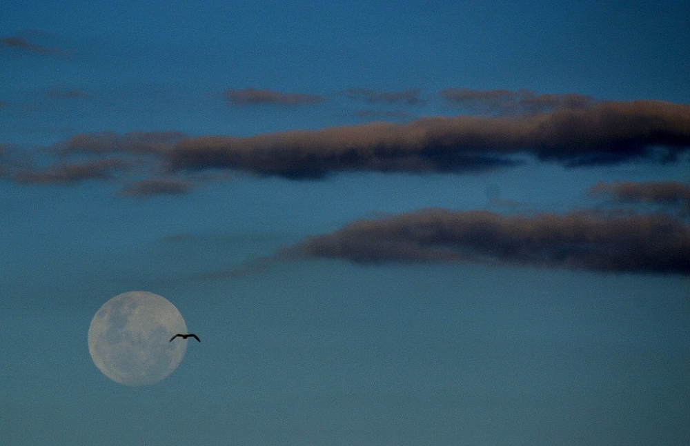 "luna, nubes y algo ms..." de Mercedes Orden