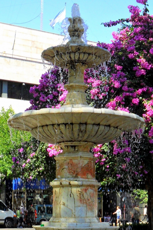 "fuente en plaza san martin, cordoba capital" de Maria Del Carmen Aguilera