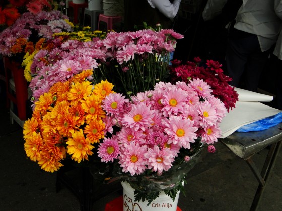 "Vendiendo Flores!!" de Cris Alija