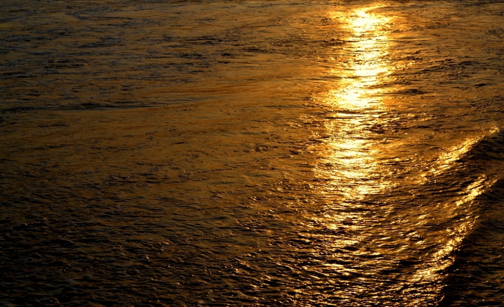 "mar de oro" de Mercedes Orden
