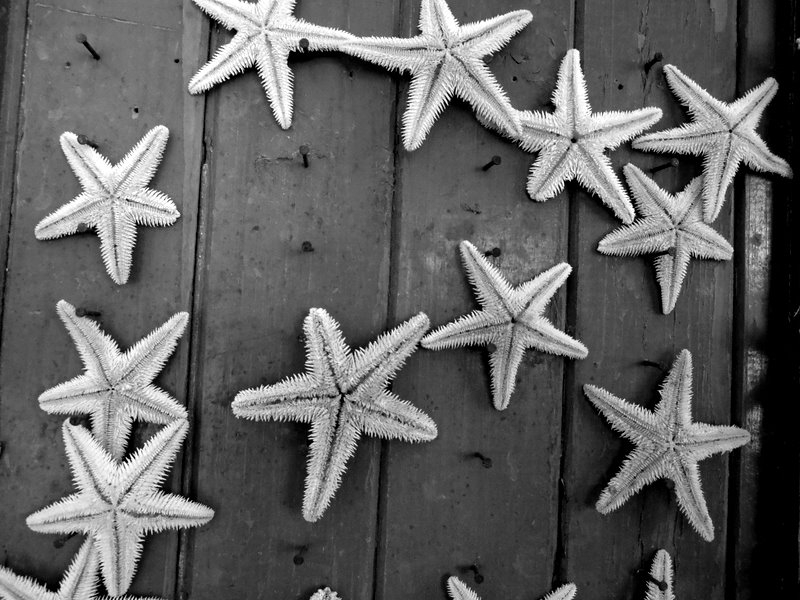 "estrellas" de Andres Mancuso