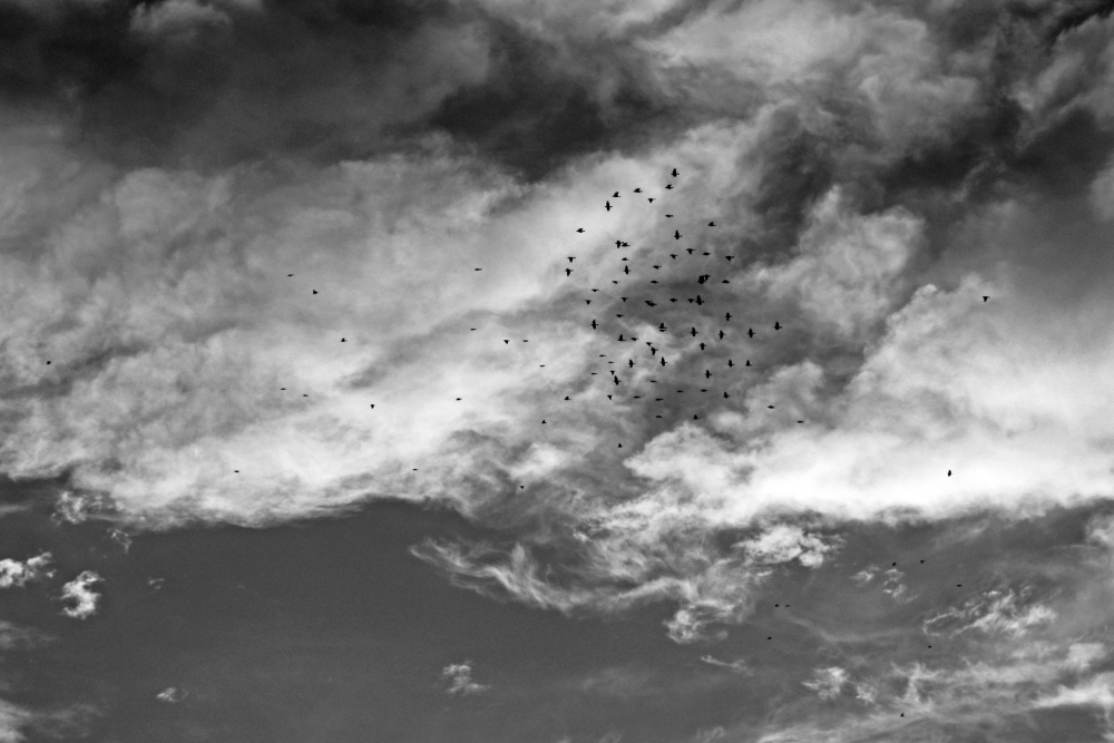"Invadiendo las nubes" de Mara Griselda Garca Cuerva