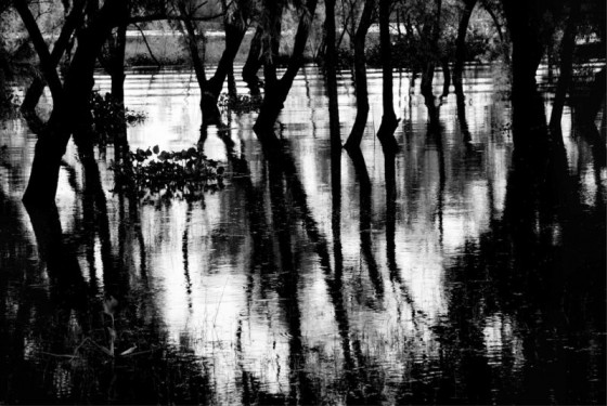 "Inundados" de Rox Boyer