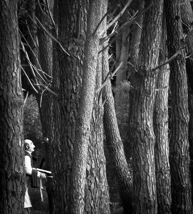 "Misterio en el bosque......" de Eduardo Estevez
