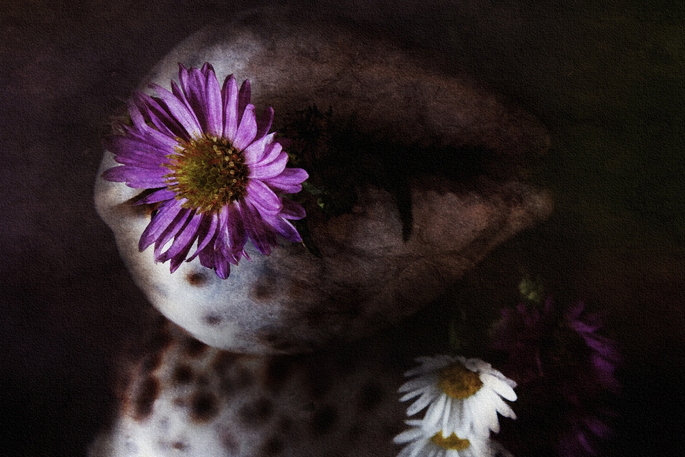 "Caracola y flor" de Pejuta Grnstein