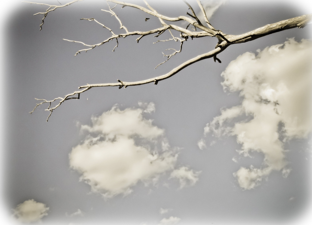 "Atrapando nubes" de Carlos Alberto Funes