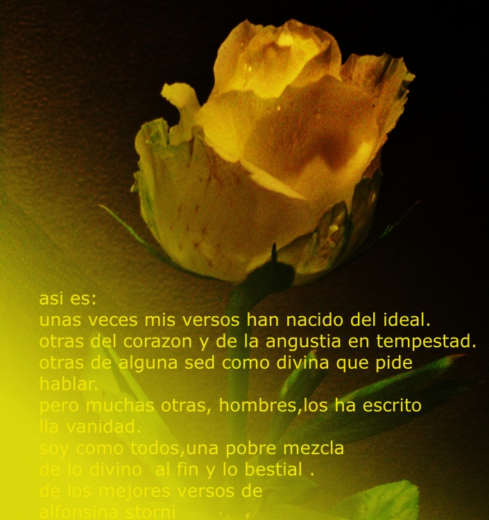 "mujeres poetisas iberoamericana" de Beatriz Di Marzio