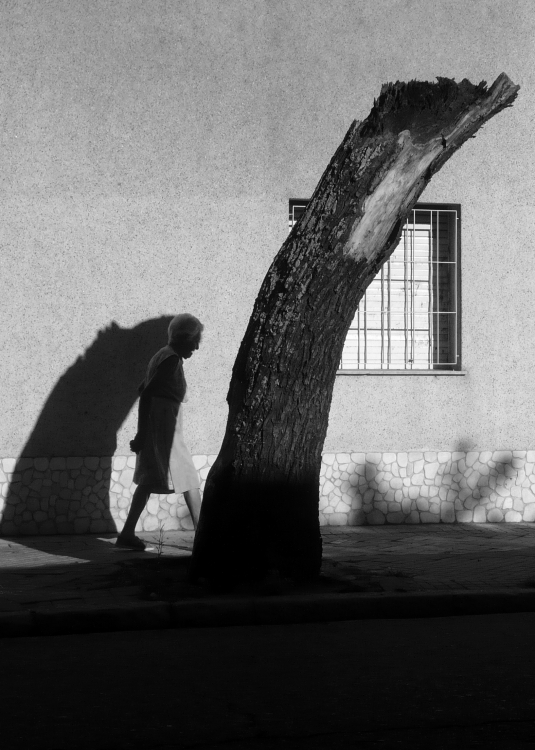 "Entre sombras y muerte II" de Claudio H. Fibla