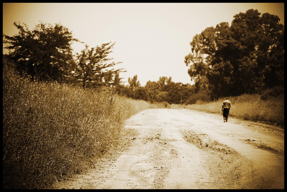 "caminante por ese camino..." de Daniel Toto Mario