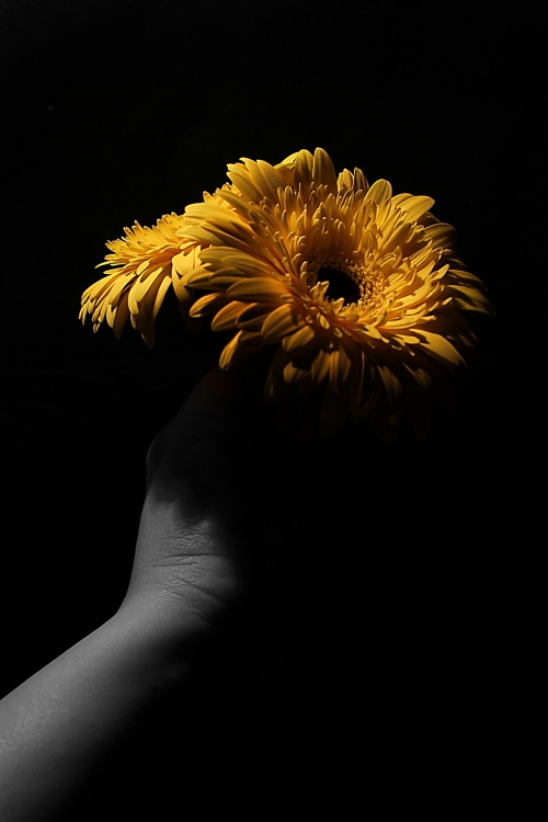 "De una mano... una flor" de Elizabeth Gutirrez (eligut)