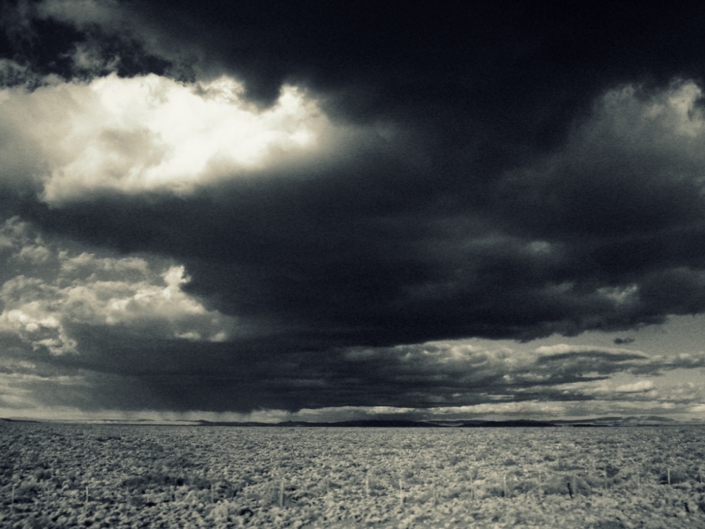 "Una tormenta patagnica" de Rodolfo Pace